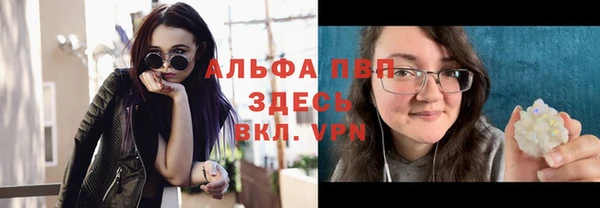 шишки Ростов