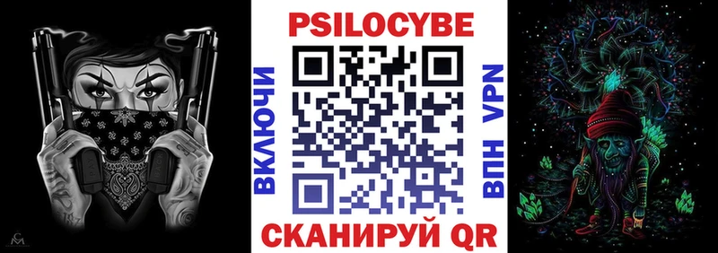 Купить закладки Черноголовка Галлюциногенные грибы Psilocybe